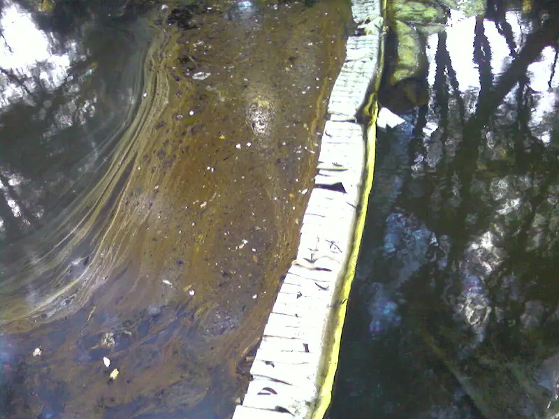 Oil-absorbing boom across a stormwater channel holding back an oil sheen